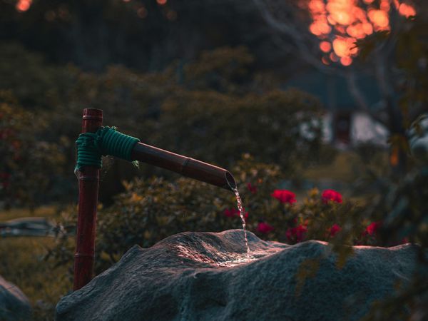 jeune-geneve-se-reposer-jeunant-guerir-microbiote-intermittent-nutrition-sonotherapie-diete-alimentation-jeuner-mediation-yoga-sejours-bains-sonores-spa-etude-chuv-randonnee