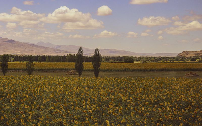 jeune-geneve-se-reposer-jeunant-guerir-microbiote-intermittent-nutrition-sonotherapie-diete-alimentation-jeuner-mediation-yoga-sejours-bains-sonores-spa-etude-chuv-randonnee